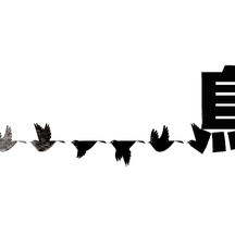 Big_thumb_birds_for_websites